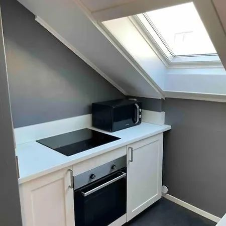 Hyggelig Loftsleilighet Sentrum *